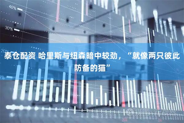 泰仓配资 哈里斯与纽森暗中较劲，“就像两只彼此防备的猫”